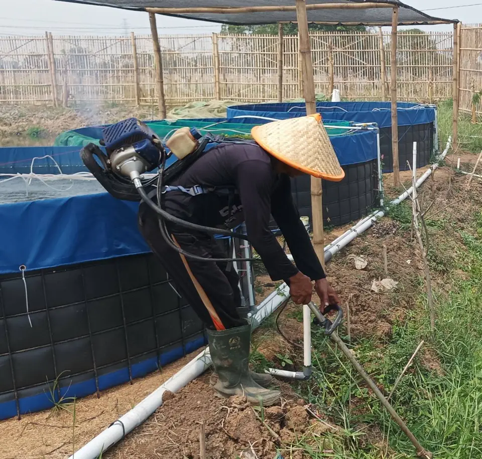 Peternak menyemprot perawatan kolam dengan sprayer motor