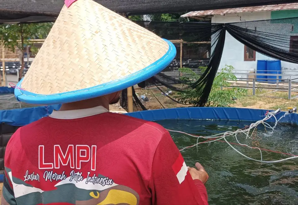 Peternak memantau kolam terpal dengan sirkulasi udara